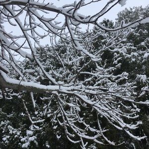 Meet your Posher, Christy